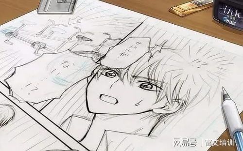 動漫設(shè)計(jì)自考指南 適合人群與畢業(yè)時(shí)間解析